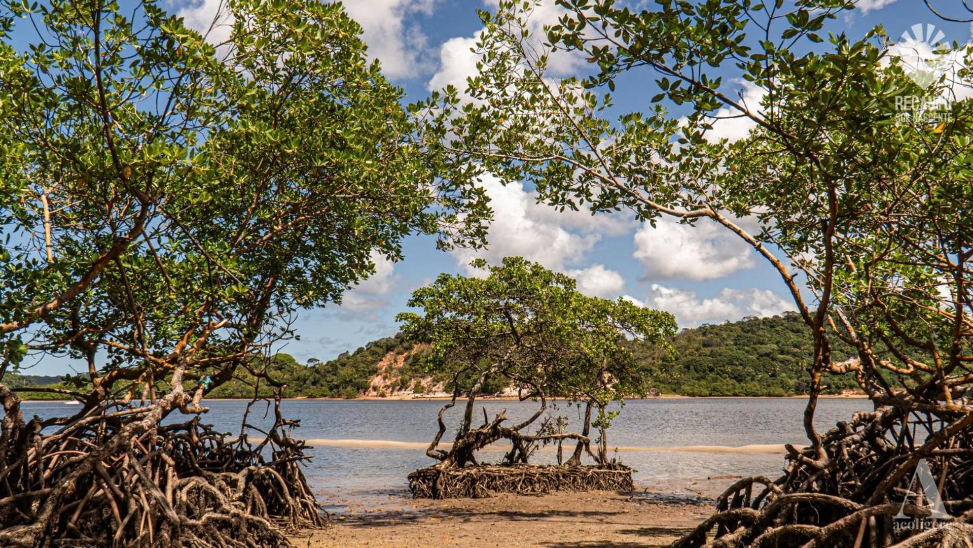 Pousada Recanto Sol Nascente, Luxo E Proximidade Com A Natureza Otel Rio Formoso Dış mekan fotoğraf