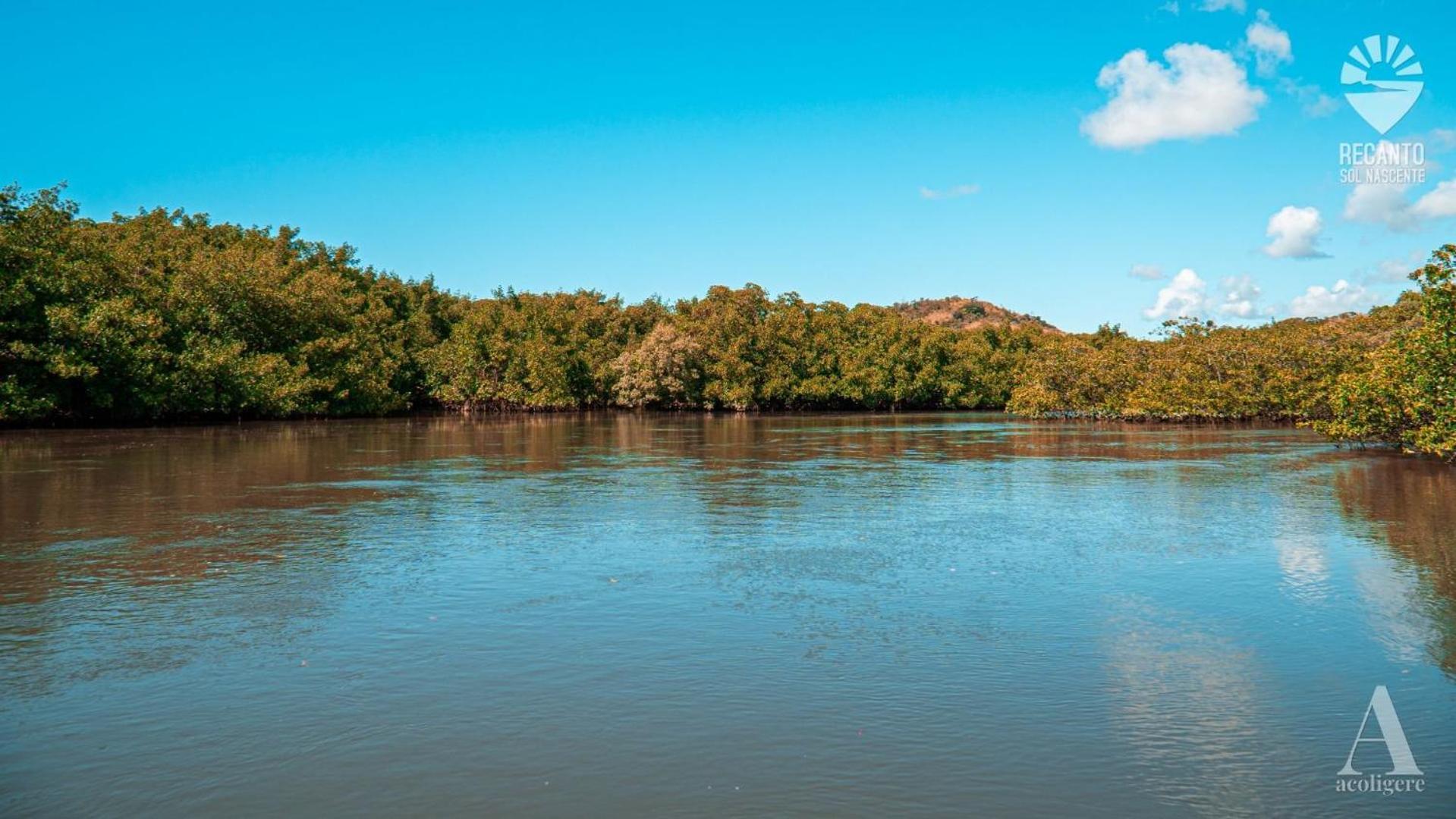 Pousada Recanto Sol Nascente, Luxo E Proximidade Com A Natureza Otel Rio Formoso Dış mekan fotoğraf