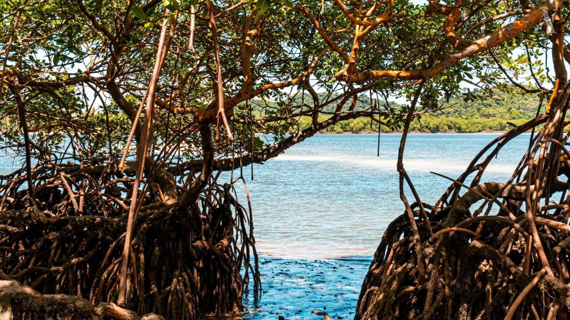 Pousada Recanto Sol Nascente, Luxo E Proximidade Com A Natureza Otel Rio Formoso Dış mekan fotoğraf